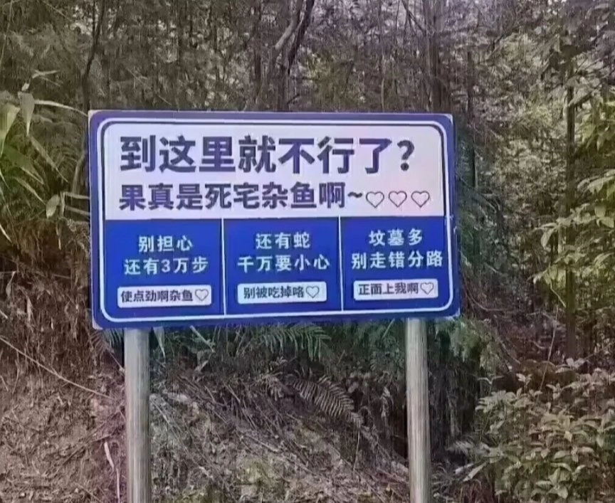 逆天路牌