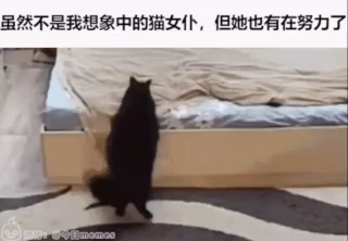 虽然不是我想象中的猫女仆，但她也有在努力了