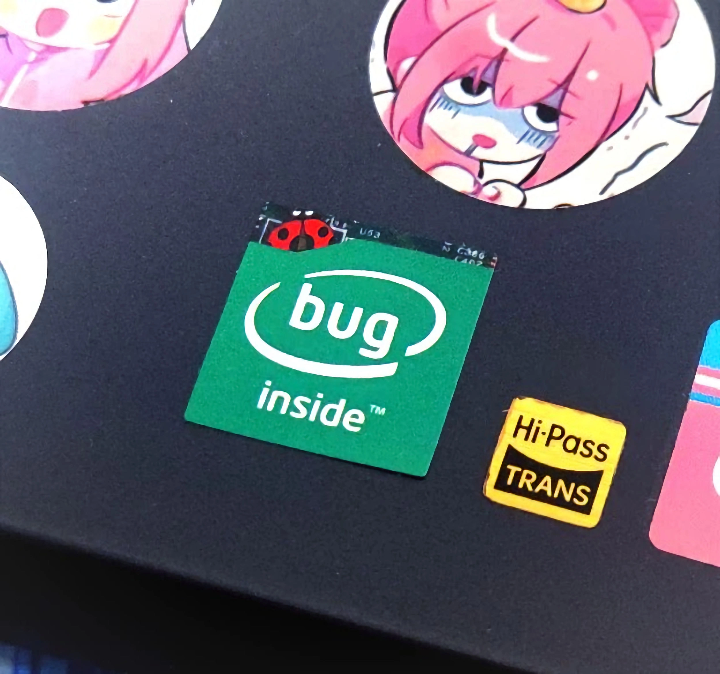 bug inside