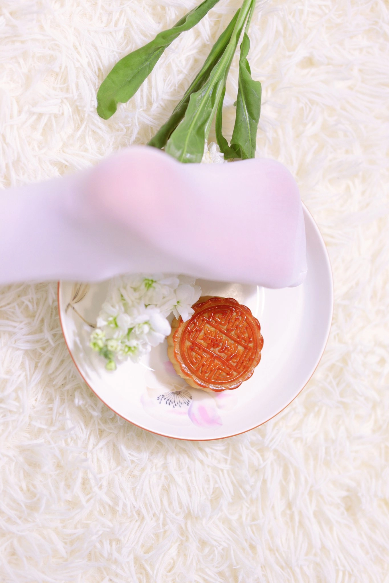 不 不 不