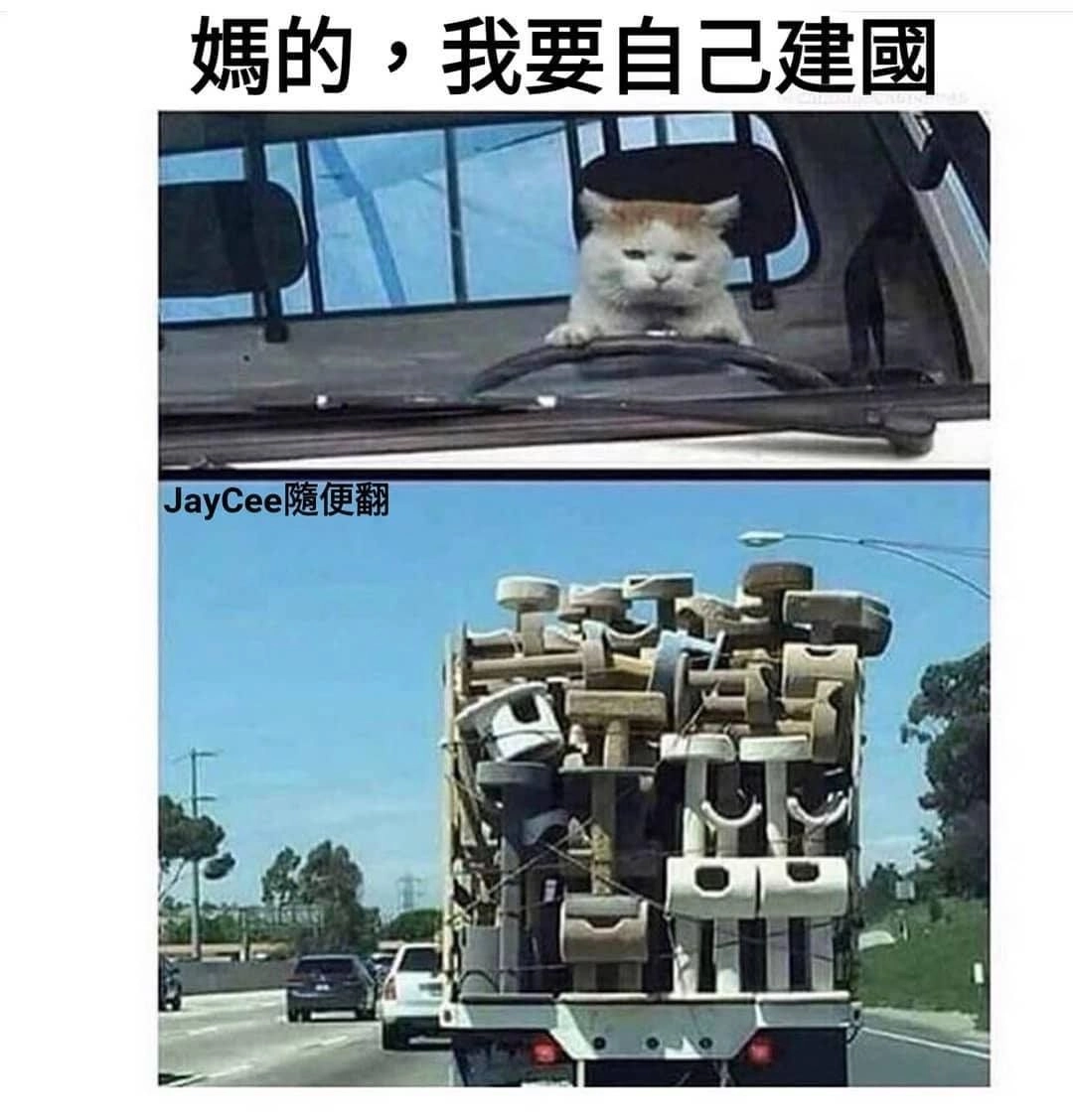 猫猫 我要自己建国