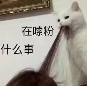 猫猫 在嗦粉 什么事