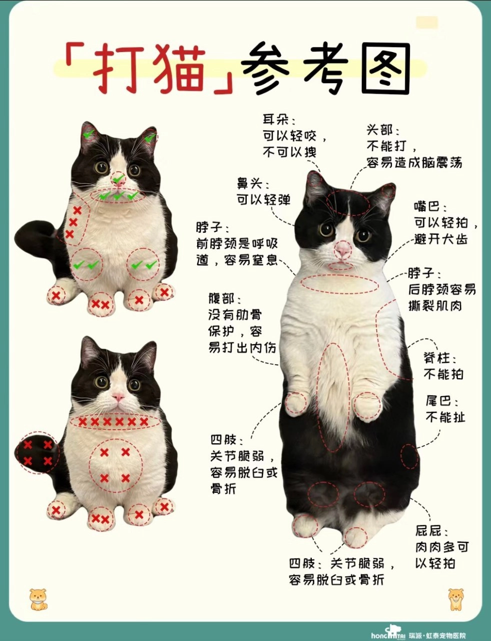 猫猫 打猫参考图