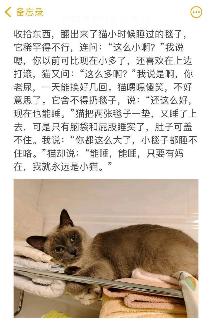 小猫文学集合