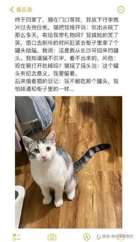 小猫文学集合