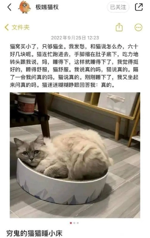 小猫文学集合