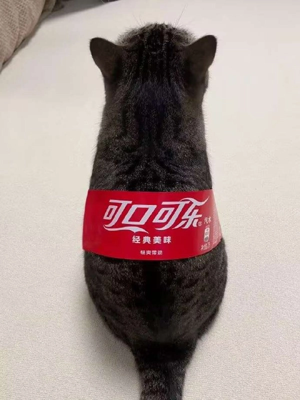 可乐猫