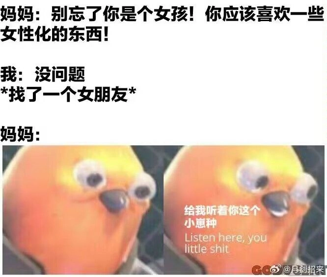 网站