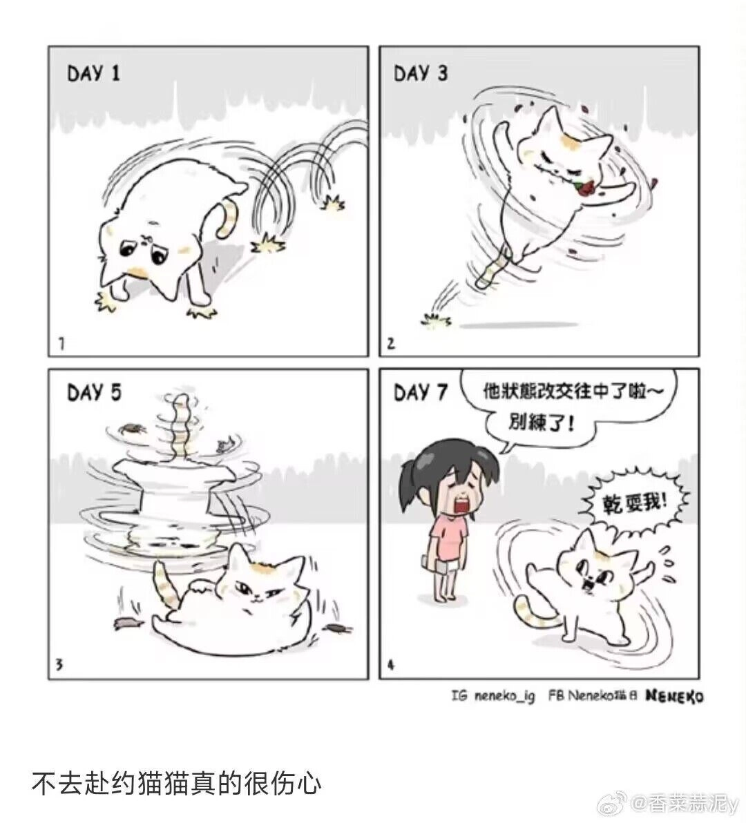 猫猫 练习