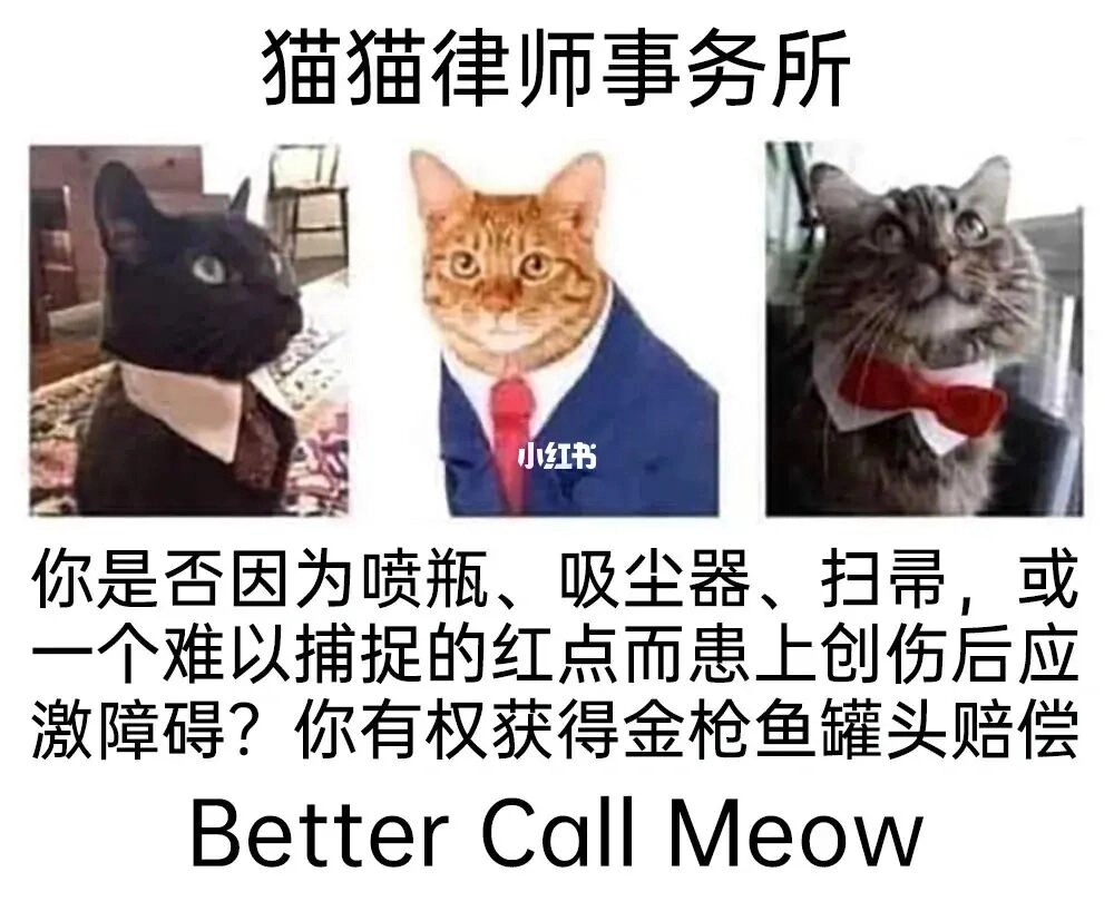 猫猫律师事务所