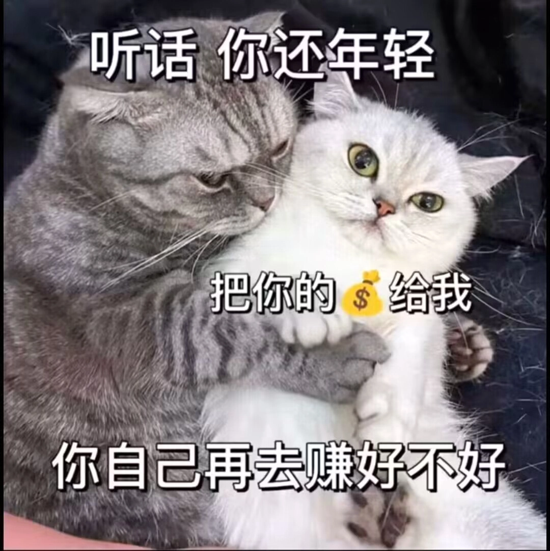 渣猫