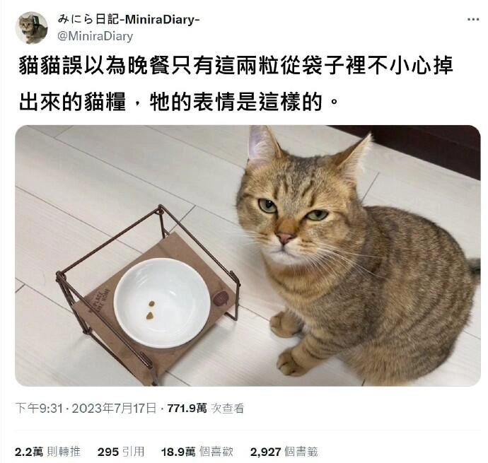 猫猫表情