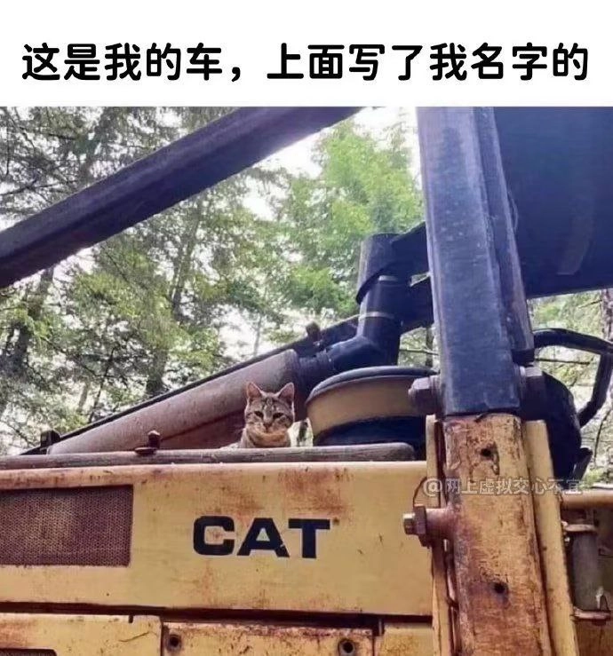 只是我的车，上面写了我的名字的