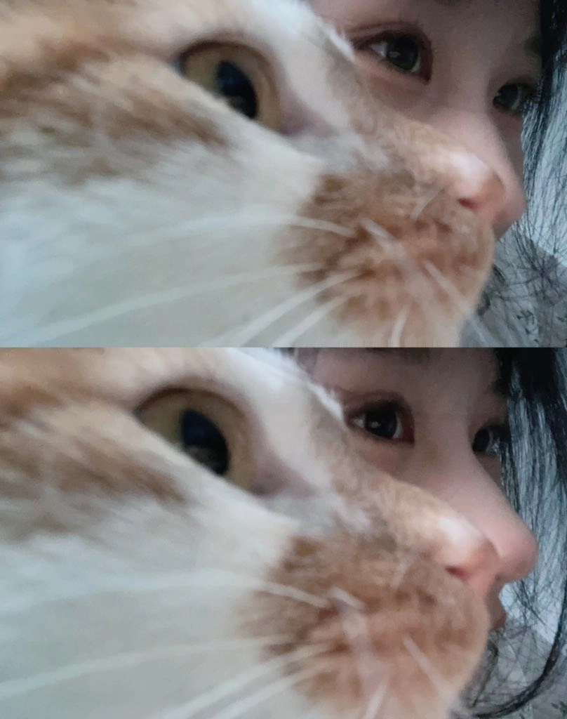 猫猫 眼睛