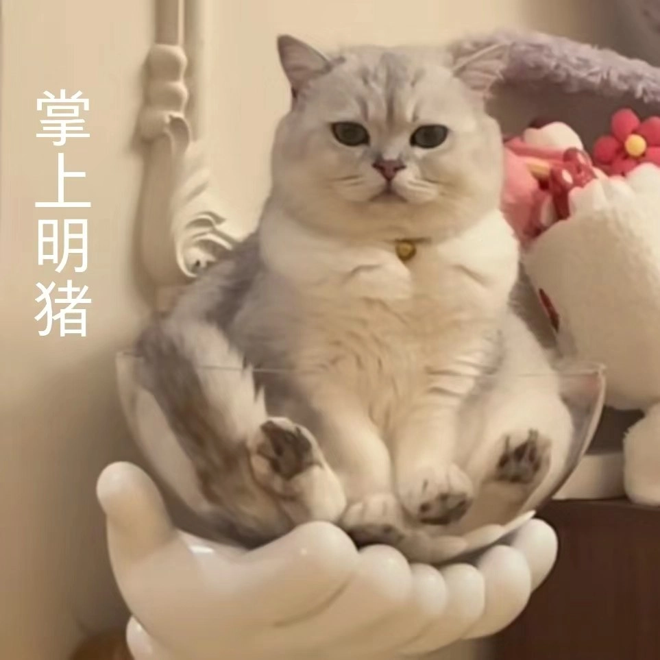 掌上明猪