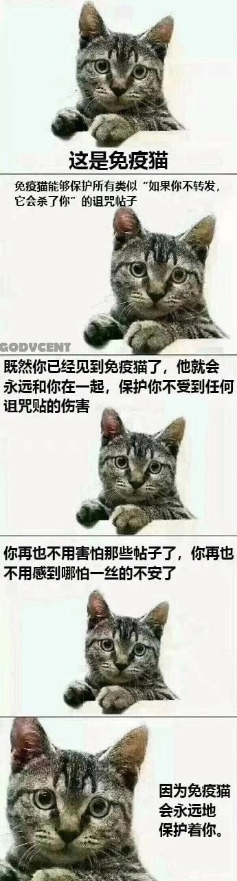 谢谢免疫猫