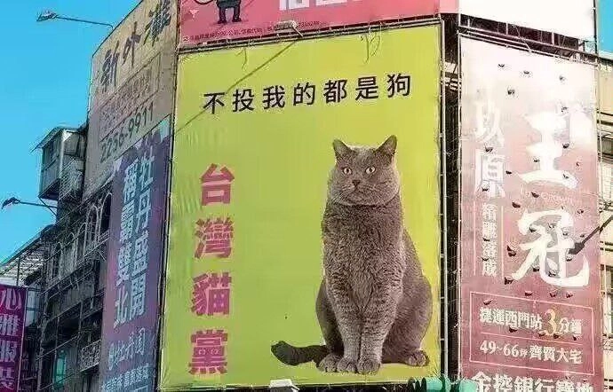 台湾猫党