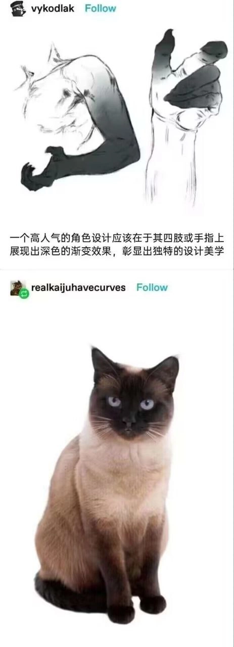 西雅图猫