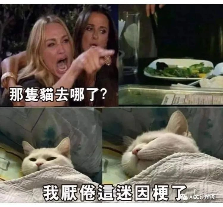 网站