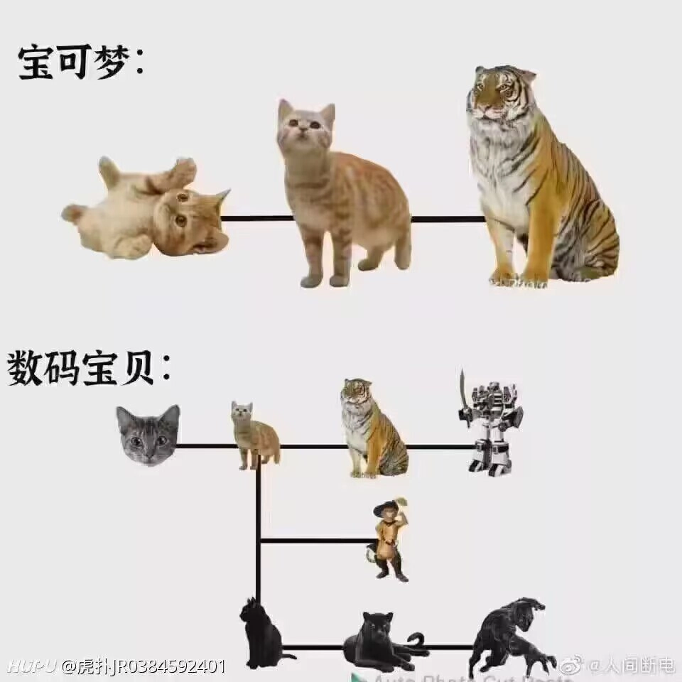 标签