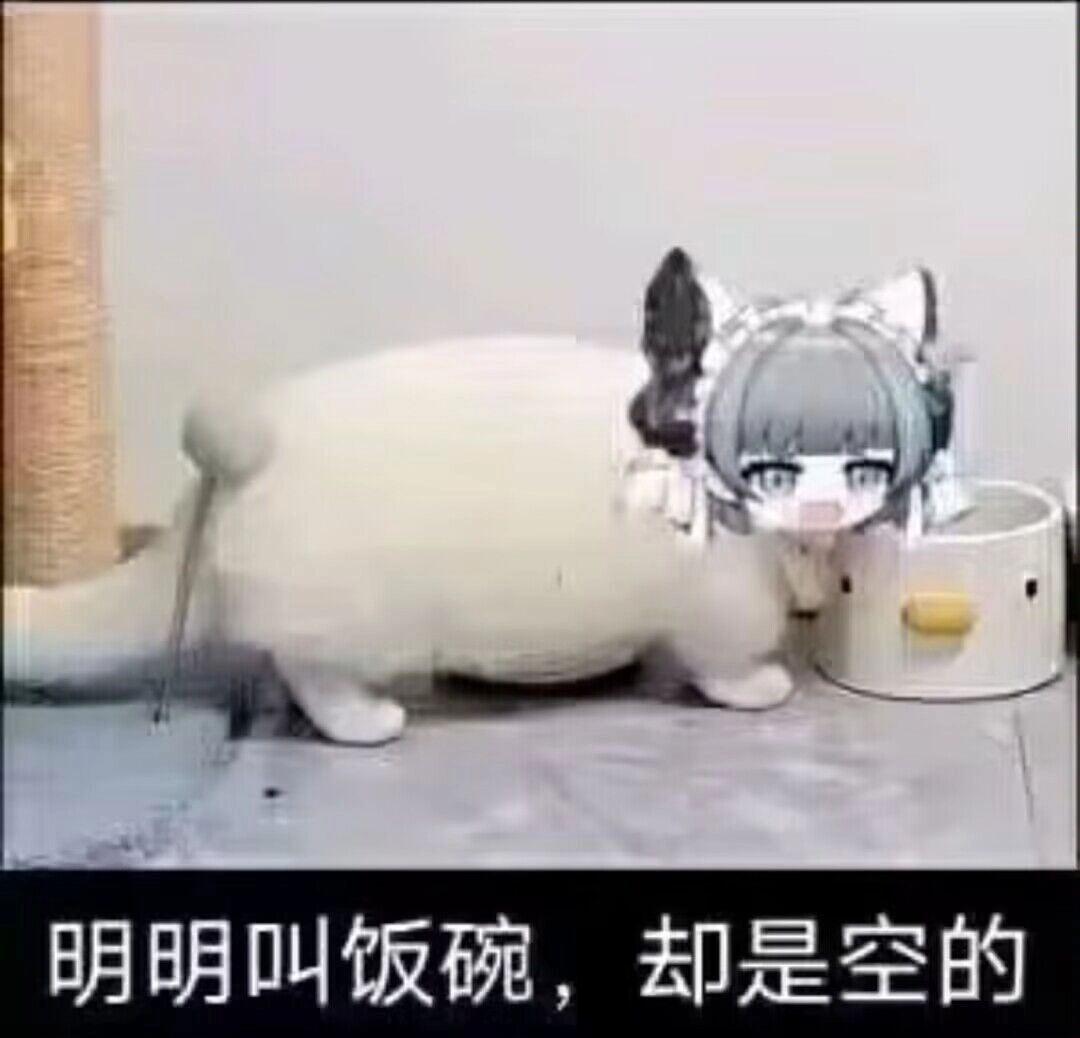 洗碗机