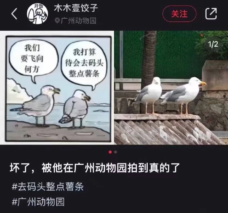 网站