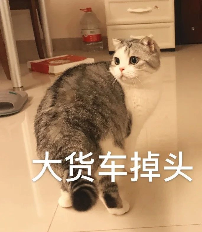 卡片