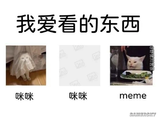 网站