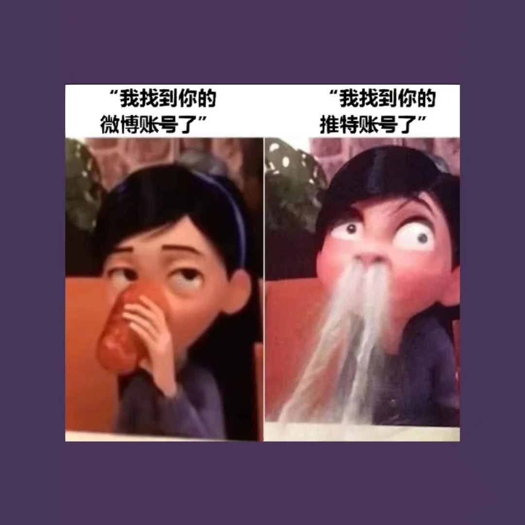 网站