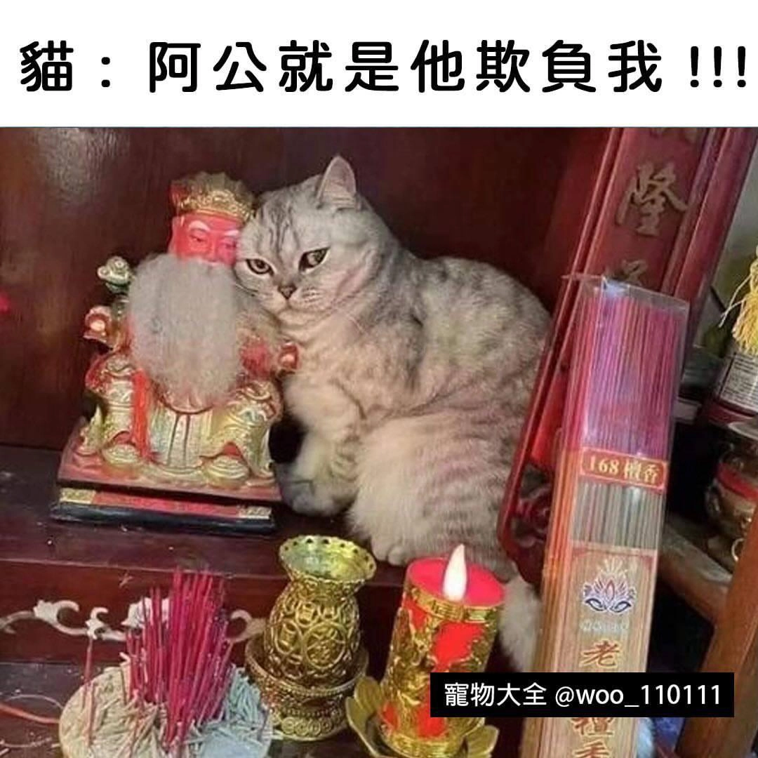 阿公就是他欺负我