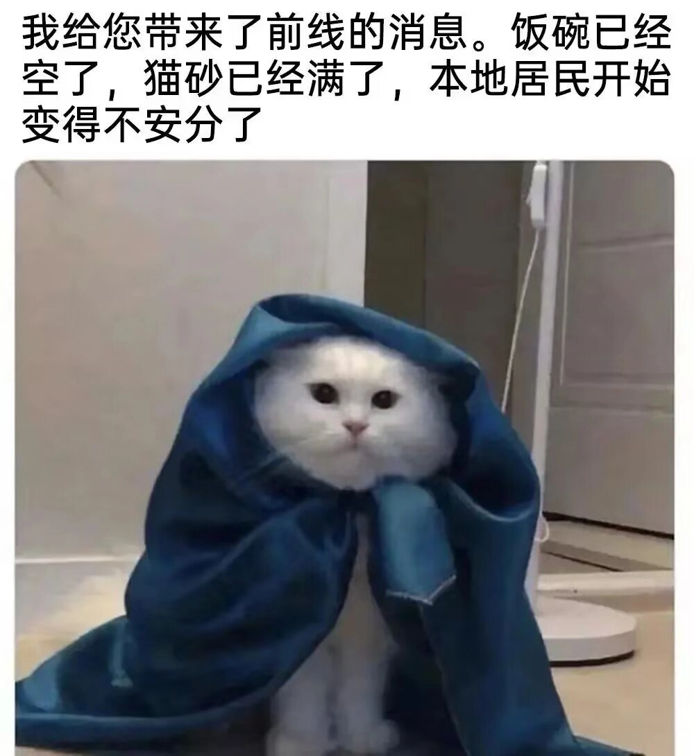 博尼特