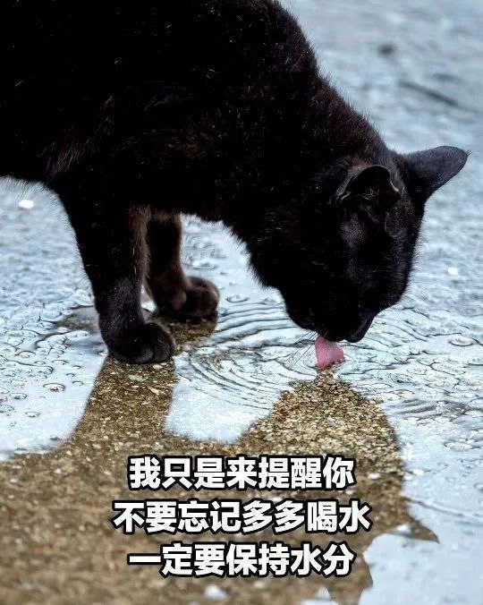 船员