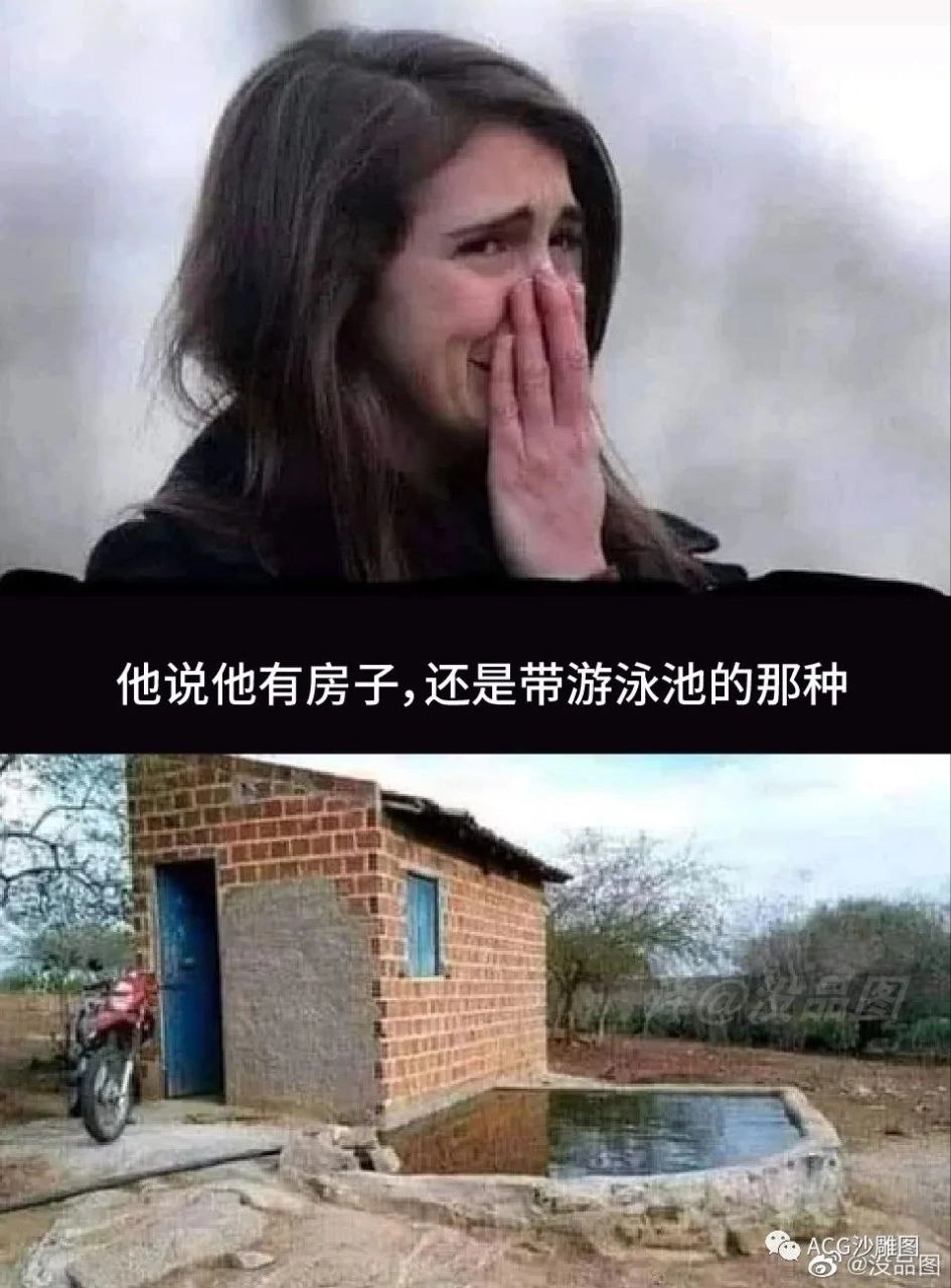 网站