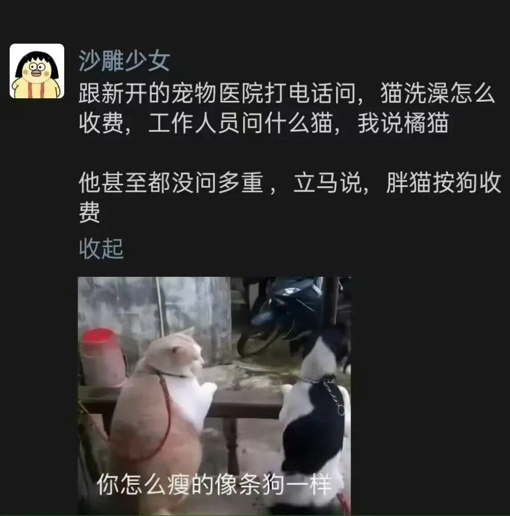 网站