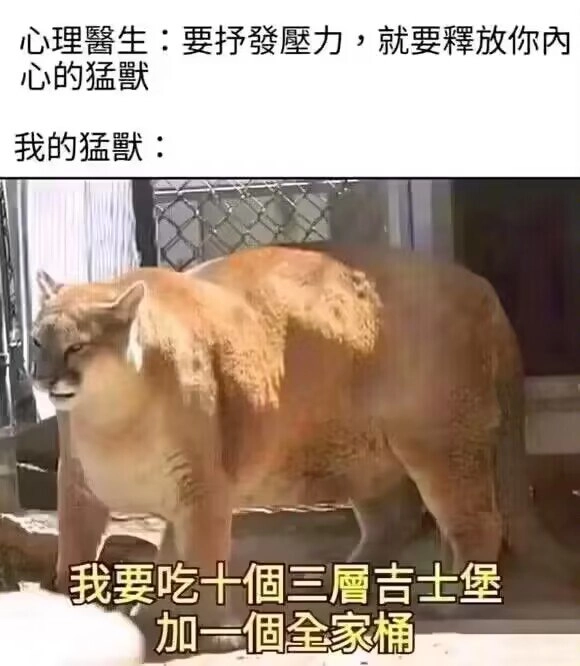 可乐