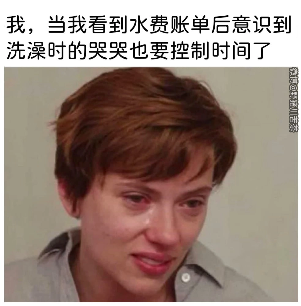 网站