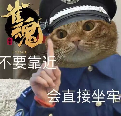 跳舞之道