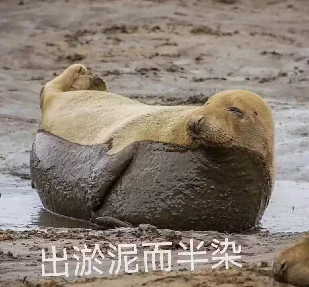 狮子海