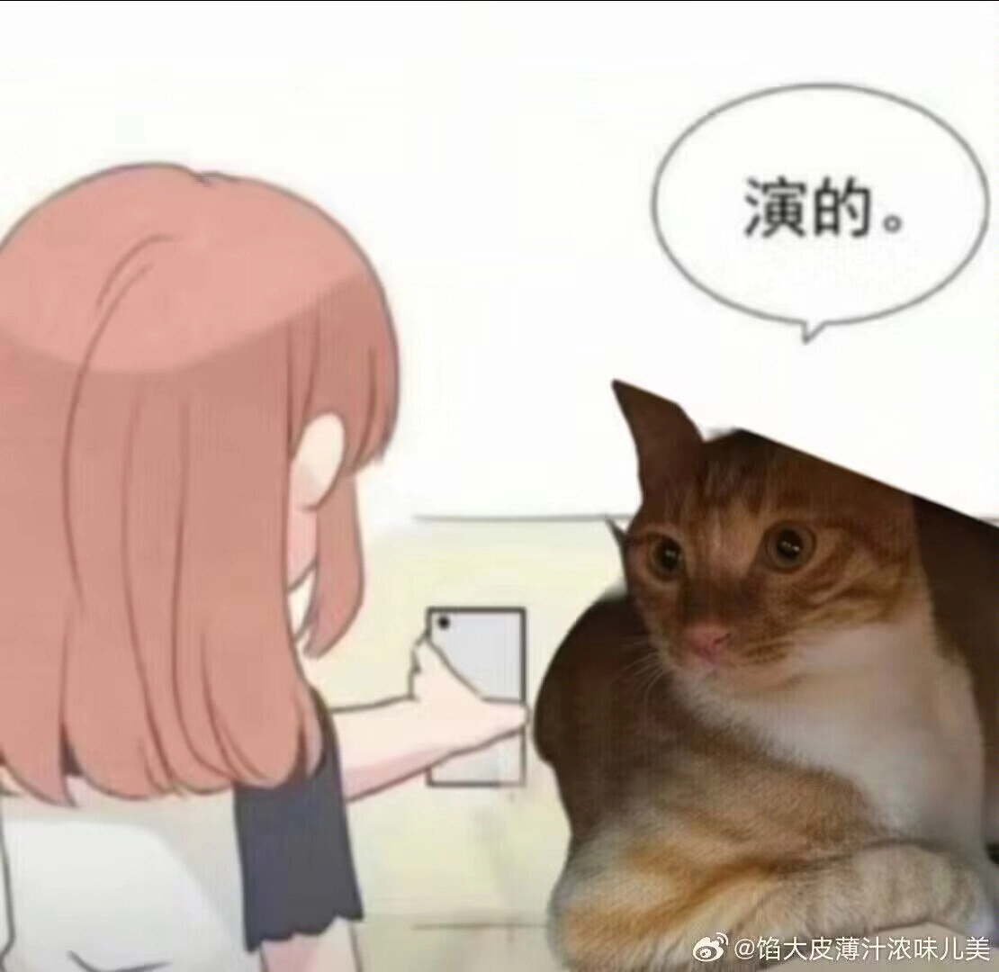 埃及猫