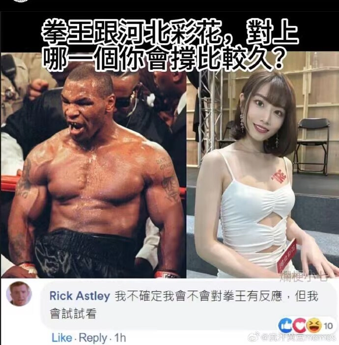 网站