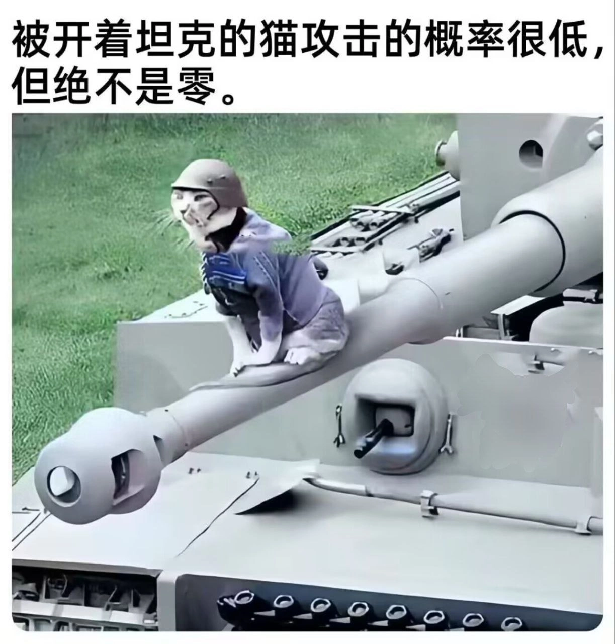 加拿大