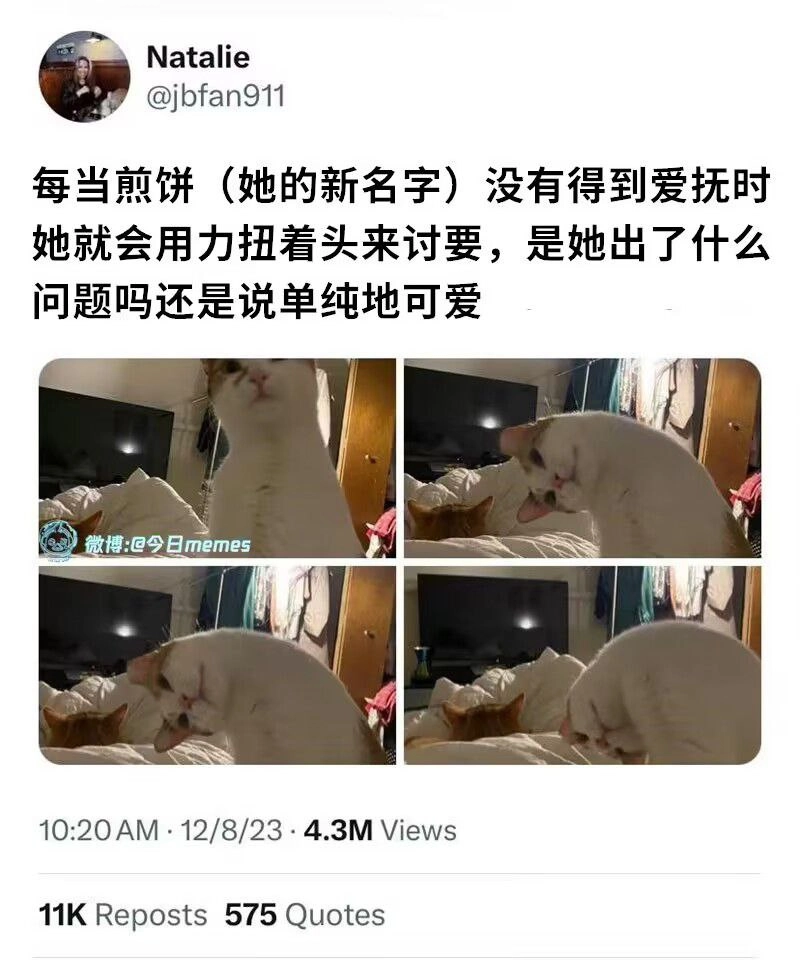 网站