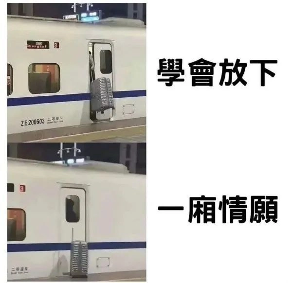 娱乐车