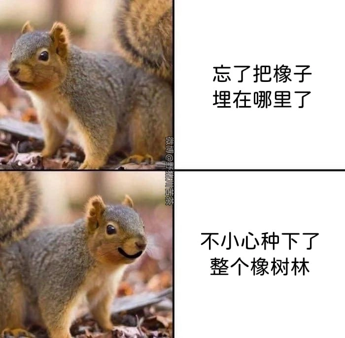 福克斯左翼