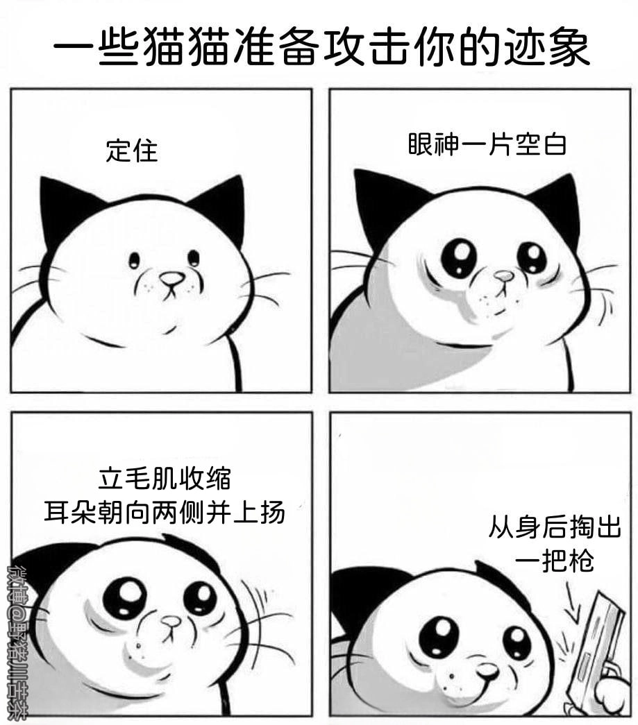 包装