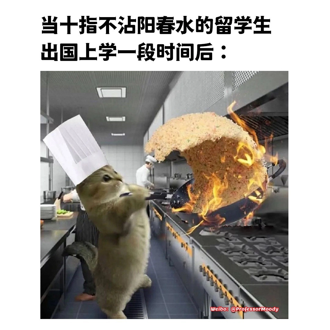 德迪