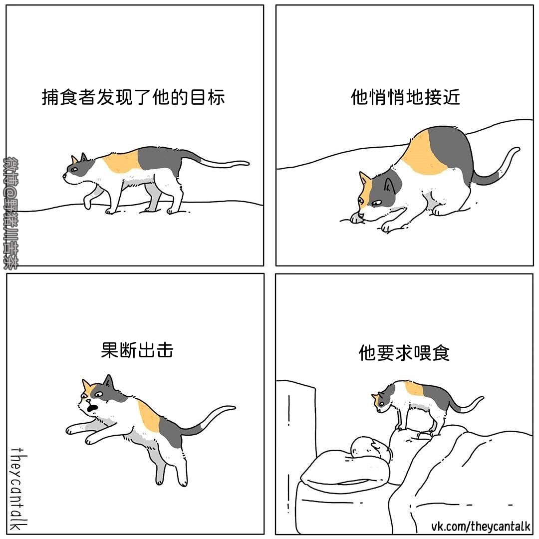 网站