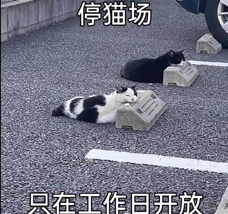 巴贝尔