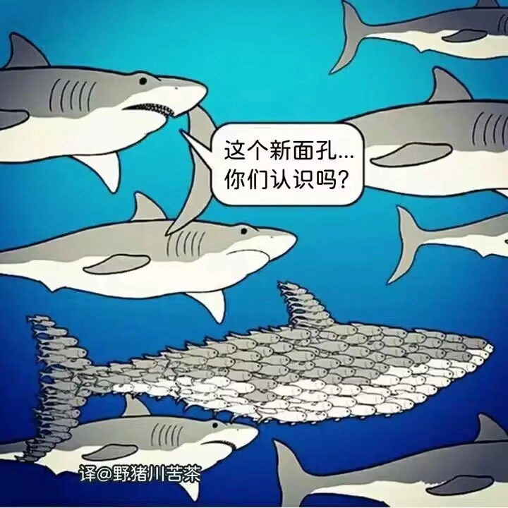 漫画书