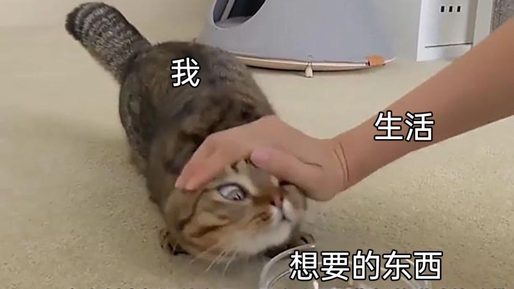 埃及猫